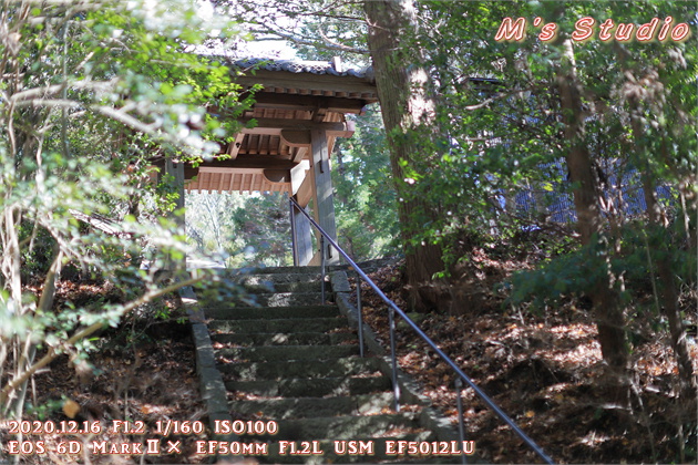 大分県　おんせん県おおいた　登山　宇曽山　障子岳　紅葉　セラピーロード