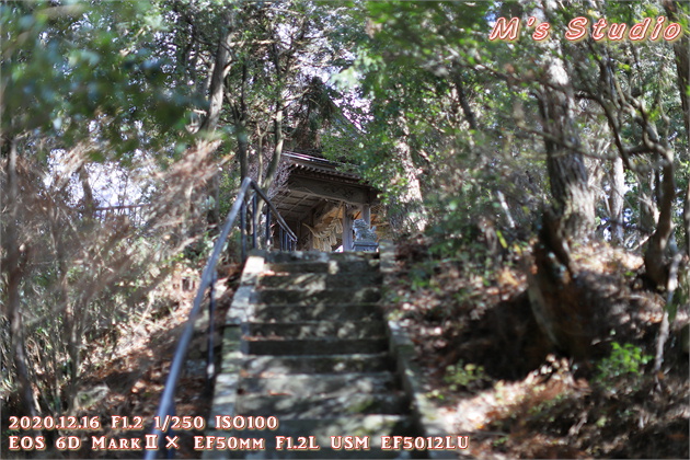 大分県　おんせん県おおいた　登山　宇曽山　障子岳　紅葉　セラピーロード