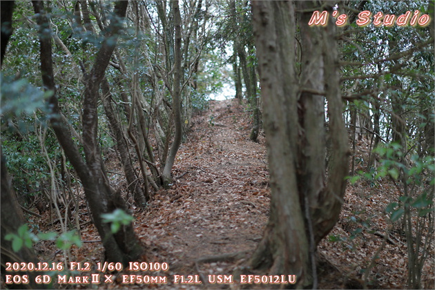 大分県　おんせん県おおいた　登山　宇曽山　障子岳　紅葉　セラピーロード