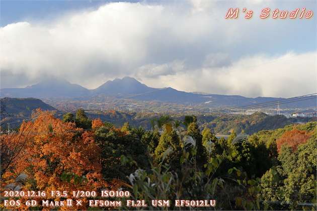 大分県　おんせん県おおいた　登山　宇曽山　障子岳　紅葉　セラピーロード