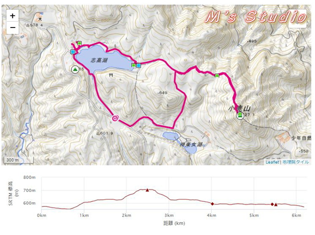 ヤマレコ　大分県　百名山　小鹿山　おじかやま　登山　雪中　728ｍ　ハイキング